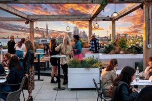 Top Vegan Rooftop Restaurants Near You + Views! | Discover Delicious Vegan Food, Beauty Swaps, and Zero-Waste Tips for a Greener Life