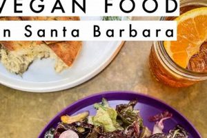 Santa Barbara's Best Vegan Restaurants: Your Guide! | Discover Delicious Vegan Food, Beauty Swaps, and Zero-Waste Tips for a Greener Life