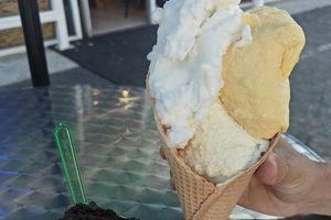 Best Vegan Ice Cream in Santa Monica: Cool Treats Near You | Discover Delicious Vegan Food, Beauty Swaps, and Zero-Waste Tips for a Greener Life