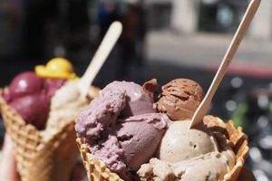 Local Vegan Ice Cream: Parlors Near Me & More! Discover Delicious Vegan Food, Beauty Swaps, and Zero-Waste Tips for a Greener Life Local Vegan Ice Cream: Parlors Near Me & More! | Discover Delicious Vegan Food, Beauty Swaps, and Zero-Waste Tips for a Greener Life