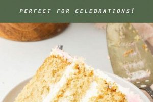 Best Vegan Cake Brooklyn NY: Plant-Based Delight Discover Delicious Vegan Food, Beauty Swaps, and Zero-Waste Tips for a Greener Life Best Vegan Cake Brooklyn NY: Plant-Based Delight | Discover Delicious Vegan Food, Beauty Swaps, and Zero-Waste Tips for a Greener Life