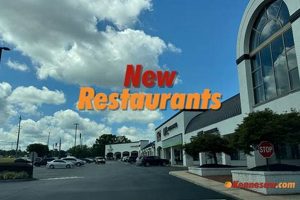 Kennesaw Vegan Eats: Best Plant-Based Restaurants Near You | Discover Delicious Vegan Food, Beauty Swaps, and Zero-Waste Tips for a Greener Life