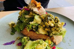 Guide to Vegan Restaurants in New Brunswick for Plant-Lovers | Discover Delicious Vegan Food, Beauty Swaps, and Zero-Waste Tips for a Greener Life