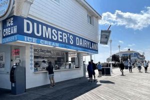 Indulge! Best Vegan Ice Cream Ocean City MD (2024) | Discover Delicious Vegan Food, Beauty Swaps, and Zero-Waste Tips for a Greener Life