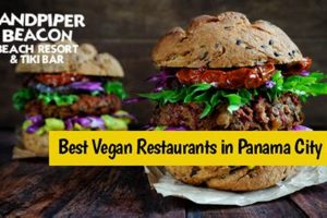 Guide to Vegan Restaurants in Panama City Beach, FL Discover Delicious Vegan Food, Beauty Swaps, and Zero-Waste Tips for a Greener Life Guide to Vegan Restaurants in Panama City Beach, FL | Discover Delicious Vegan Food, Beauty Swaps, and Zero-Waste Tips for a Greener Life