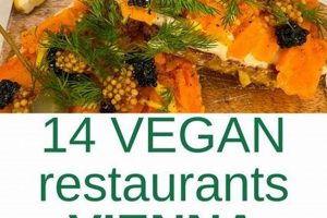 Plant-Based Vienna: Your Vegan Food Guide! Discover Delicious Vegan Food, Beauty Swaps, and Zero-Waste Tips for a Greener Life Plant-Based Vienna: Your Vegan Food Guide! | Discover Delicious Vegan Food, Beauty Swaps, and Zero-Waste Tips for a Greener Life