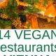 Plant-Based Vienna: Your Vegan Food Guide! | Discover Delicious Vegan Food, Beauty Swaps, and Zero-Waste Tips for a Greener Life