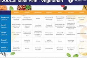 Easy Vegan 1200 Calorie Meal Plan: Your Diet Guide Discover Delicious Vegan Food, Beauty Swaps, and Zero-Waste Tips for a Greener Life Easy Vegan 1200 Calorie Meal Plan: Your Diet Guide | Discover Delicious Vegan Food, Beauty Swaps, and Zero-Waste Tips for a Greener Life