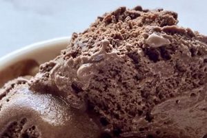 Decadent Vegan Chocolate Ice Cream: A Sweet Treat! | Discover Delicious Vegan Food, Beauty Swaps, and Zero-Waste Tips for a Greener Life
