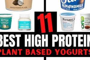 Boost Protein: Vegan Yogurt Power Bowl Recipe Discover Delicious Vegan Food, Beauty Swaps, and Zero-Waste Tips for a Greener Life Boost Protein: Vegan Yogurt Power Bowl Recipe | Discover Delicious Vegan Food, Beauty Swaps, and Zero-Waste Tips for a Greener Life