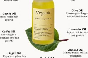 Nourish Naturally: Best Vegan Hair Oil for Healthy Hair Discover Delicious Vegan Food, Beauty Swaps, and Zero-Waste Tips for a Greener Life Nourish Naturally: Best Vegan Hair Oil for Healthy Hair | Discover Delicious Vegan Food, Beauty Swaps, and Zero-Waste Tips for a Greener Life