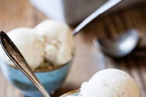 Best Homemade Vegan Vanilla Bean Ice Cream Recipe! (Easy) Discover Delicious Vegan Food, Beauty Swaps, and Zero-Waste Tips for a Greener Life Best Homemade Vegan Vanilla Bean Ice Cream Recipe! (Easy) | Discover Delicious Vegan Food, Beauty Swaps, and Zero-Waste Tips for a Greener Life