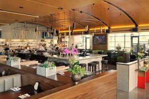 Guide to Best Vegan Restaurants in Bloomington, MN | Discover Delicious Vegan Food, Beauty Swaps, and Zero-Waste Tips for a Greener Life