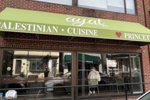 Best Vegan Restaurant Princeton: Guide & Reviews Discover Delicious Vegan Food, Beauty Swaps, and Zero-Waste Tips for a Greener Life Best Vegan Restaurant Princeton: Guide & Reviews | Discover Delicious Vegan Food, Beauty Swaps, and Zero-Waste Tips for a Greener Life