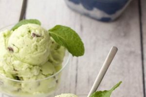 Best Vegan Mint Chip Ice Cream: Cool & Creamy! | Discover Delicious Vegan Food, Beauty Swaps, and Zero-Waste Tips for a Greener Life