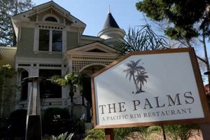 Best Vegan Restaurants in Los Gatos: Your Guide! | Discover Delicious Vegan Food, Beauty Swaps, and Zero-Waste Tips for a Greener Life