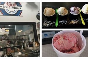 Coolest Vegan Ice Cream in Ann Arbor: Flavors & Spots! | Discover Delicious Vegan Food, Beauty Swaps, and Zero-Waste Tips for a Greener Life