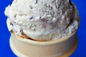 The Best Vegan Oreo Ice Cream: Homemade & Store-Bought! | Discover Delicious Vegan Food, Beauty Swaps, and Zero-Waste Tips for a Greener Life