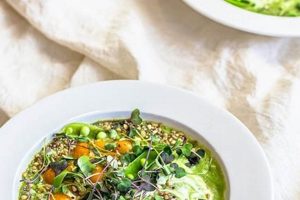 Best Vegan Cold Soup Recipes: Refreshing & Easy! | Discover Delicious Vegan Food, Beauty Swaps, and Zero-Waste Tips for a Greener Life