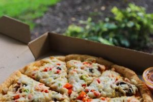 Best Vegan Pizza in Fort Lauderdale: Plant-Based Paradise! | Discover Delicious Vegan Food, Beauty Swaps, and Zero-Waste Tips for a Greener Life