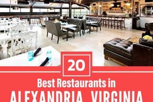 Guide to Alexandria VA Vegan Restaurants: Find Your Feast! Discover Delicious Vegan Food, Beauty Swaps, and Zero-Waste Tips for a Greener Life Guide to Alexandria VA Vegan Restaurants: Find Your Feast! | Discover Delicious Vegan Food, Beauty Swaps, and Zero-Waste Tips for a Greener Life