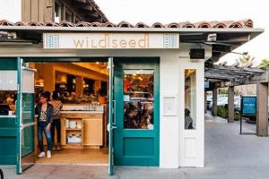 Best Vegan Food Palo Alto: Guide + Local Gems Discover Delicious Vegan Food, Beauty Swaps, and Zero-Waste Tips for a Greener Life Best Vegan Food Palo Alto: Guide + Local Gems | Discover Delicious Vegan Food, Beauty Swaps, and Zero-Waste Tips for a Greener Life