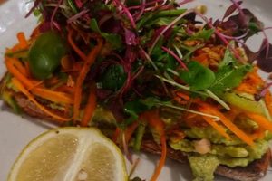 Clearwater Vegan Food Guide: Find Your Best Meal | Discover Delicious Vegan Food, Beauty Swaps, and Zero-Waste Tips for a Greener Life