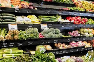 Guide to Best Vegan Groceries: Shop Smart + Eat Well! | Discover Delicious Vegan Food, Beauty Swaps, and Zero-Waste Tips for a Greener Life