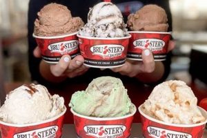 Delicious Bruster's Vegan Ice Cream: A Cool Treat! | Discover Delicious Vegan Food, Beauty Swaps, and Zero-Waste Tips for a Greener Life