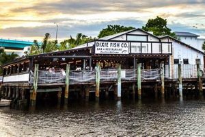 Ocala Vegan Restaurants: Find Your Plant-Based Paradise! | Discover Delicious Vegan Food, Beauty Swaps, and Zero-Waste Tips for a Greener Life