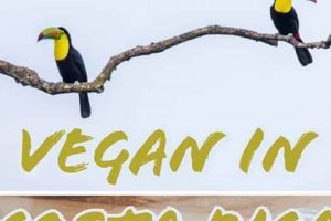 Best Costa Rica Vegan Restaurants: Your Guide & More! | Discover Delicious Vegan Food, Beauty Swaps, and Zero-Waste Tips for a Greener Life