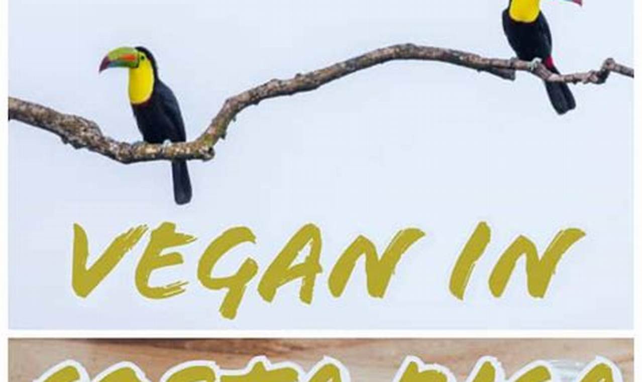 Best Costa Rica Vegan Restaurants: Your Guide & More! | Discover Delicious Vegan Food, Beauty Swaps, and Zero-Waste Tips for a Greener Life
