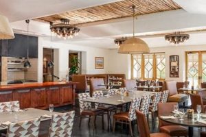 Best Vegan Restaurants in Peoria, AZ: A Guide | Discover Delicious Vegan Food, Beauty Swaps, and Zero-Waste Tips for a Greener Life