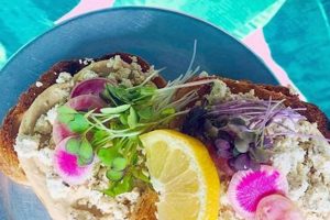 Best Hilo Vegan Restaurants: Find Plant-Based Eats! Discover Delicious Vegan Food, Beauty Swaps, and Zero-Waste Tips for a Greener Life Best Hilo Vegan Restaurants: Find Plant-Based Eats! | Discover Delicious Vegan Food, Beauty Swaps, and Zero-Waste Tips for a Greener Life