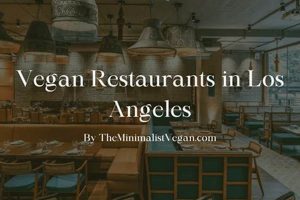 Guide to Fullerton's Best Vegan Restaurants | Discover Delicious Vegan Food, Beauty Swaps, and Zero-Waste Tips for a Greener Life