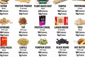 Solve the Vegan Protein Source NYT Crossword - Protein Clues | Discover Delicious Vegan Food, Beauty Swaps, and Zero-Waste Tips for a Greener Life