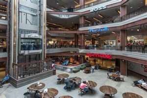 Best Vegan Restaurants in Silver Spring MD: Plant-Based Guide Discover Delicious Vegan Food, Beauty Swaps, and Zero-Waste Tips for a Greener Life Best Vegan Restaurants in Silver Spring MD: Plant-Based Guide | Discover Delicious Vegan Food, Beauty Swaps, and Zero-Waste Tips for a Greener Life