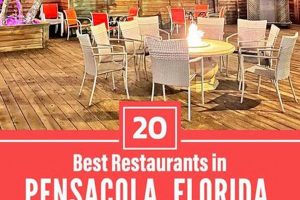 Best Vegan Restaurants Pensacola FL: Your Guide Discover Delicious Vegan Food, Beauty Swaps, and Zero-Waste Tips for a Greener Life Best Vegan Restaurants Pensacola FL: Your Guide | Discover Delicious Vegan Food, Beauty Swaps, and Zero-Waste Tips for a Greener Life