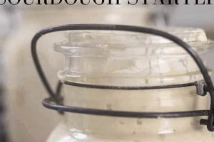 Easy Vegan Gluten-Free Sourdough Starter: A Simple Guide Discover Delicious Vegan Food, Beauty Swaps, and Zero-Waste Tips for a Greener Life Easy Vegan Gluten-Free Sourdough Starter: A Simple Guide | Discover Delicious Vegan Food, Beauty Swaps, and Zero-Waste Tips for a Greener Life