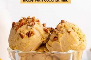 The Best Vegan Pumpkin Ice Cream Recipe for Fall | Discover Delicious Vegan Food, Beauty Swaps, and Zero-Waste Tips for a Greener Life