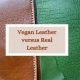 Vegan Guide: Is Vegan Leather Real Leather? +Alternatives | Discover Delicious Vegan Food, Beauty Swaps, and Zero-Waste Tips for a Greener Life