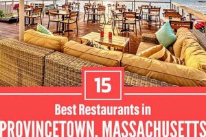 Best Vegan Restaurants in Provincetown, MA: Your Guide Discover Delicious Vegan Food, Beauty Swaps, and Zero-Waste Tips for a Greener Life Best Vegan Restaurants in Provincetown, MA: Your Guide | Discover Delicious Vegan Food, Beauty Swaps, and Zero-Waste Tips for a Greener Life