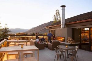 The Ultimate Guide to Vegan Restaurants in Jackson Hole (2024) | Discover Delicious Vegan Food, Beauty Swaps, and Zero-Waste Tips for a Greener Life