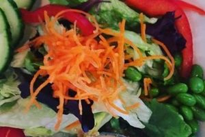 Guide to Vegan Restaurants in Lansing, MI - Find Yours! Discover Delicious Vegan Food, Beauty Swaps, and Zero-Waste Tips for a Greener Life Guide to Vegan Restaurants in Lansing, MI - Find Yours! | Discover Delicious Vegan Food, Beauty Swaps, and Zero-Waste Tips for a Greener Life