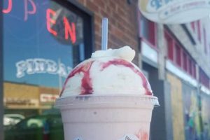 Best Seattle Vegan Ice Cream: The Coolest Guide! | Discover Delicious Vegan Food, Beauty Swaps, and Zero-Waste Tips for a Greener Life