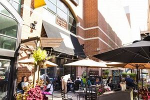 Guide to Vegan Restaurants in Rochester, MN | Best Spots | Discover Delicious Vegan Food, Beauty Swaps, and Zero-Waste Tips for a Greener Life