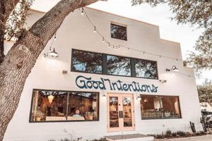 Find the Best Vegan Restaurant in St. Petersburg, FL Discover Delicious Vegan Food, Beauty Swaps, and Zero-Waste Tips for a Greener Life Find the Best Vegan Restaurant in St. Petersburg, FL | Discover Delicious Vegan Food, Beauty Swaps, and Zero-Waste Tips for a Greener Life