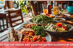 Best Vegan Restaurants Cape Cod: A Plant-Based Guide Discover Delicious Vegan Food, Beauty Swaps, and Zero-Waste Tips for a Greener Life Best Vegan Restaurants Cape Cod: A Plant-Based Guide | Discover Delicious Vegan Food, Beauty Swaps, and Zero-Waste Tips for a Greener Life