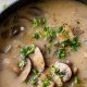 Best Vegan Cream of Mushroom Soup Substitute: Recipes & More | Discover Delicious Vegan Food, Beauty Swaps, and Zero-Waste Tips for a Greener Life