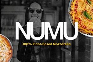 Best Numu Vegan Cheese: Recipes & Reviews (Dairy-Free!) | Discover Delicious Vegan Food, Beauty Swaps, and Zero-Waste Tips for a Greener Life